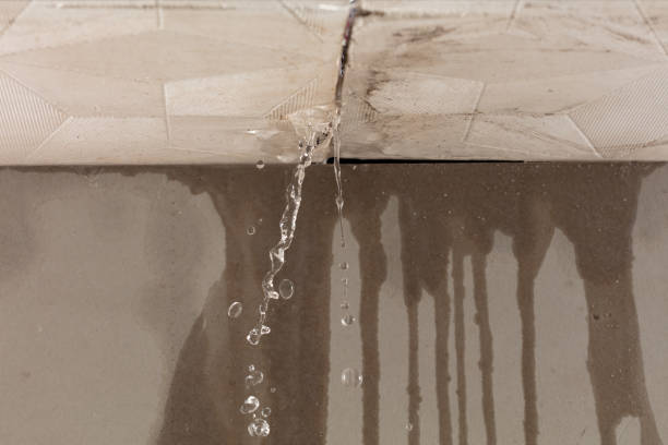 Professional Sewage Cleanup technician working in Hartford, TN